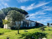 Haus kaufen Aglientu klein bo6nls38nihh