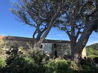 Haus kaufen Aglientu klein een7ns16t4at