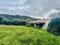 Haus kaufen Aglientu klein kzzngvpxxapa