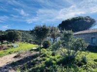 Haus kaufen Aglientu klein nhivckuzium7