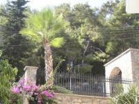 Haus kaufen Alanya klein lnl9wq42zhqt