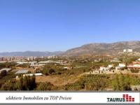 Haus kaufen Alanya - Kargicak klein ns5pnyk8ls0y