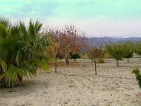 Haus kaufen Albaida klein ujlvaikrb83l