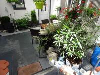 Haus kaufen Albersweiler klein wlcepnf35myi