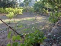 Haus kaufen Altea klein kpdgu7jiwfdj