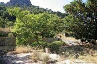 Haus kaufen Andratx klein exop27dhoflu