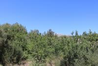 Haus kaufen Andratx klein gn7nilxtecds