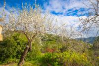 Haus kaufen Andratx klein uhnfuxw6hms4