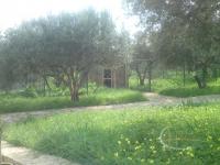 Haus kaufen Archanes klein 5kswdl7kifhc