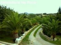 Haus kaufen Arta - Canyamel klein asaiuqvnwqf6