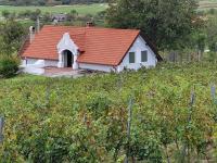 Haus kaufen Aszófö klein niagp572yjem