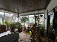 Haus kaufen Bad Bergzabern klein i90e6dlwig9f