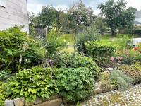 Haus kaufen Bad Krozingen klein f6ebrv43klgl