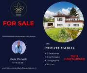 Haus kaufen Bad Säckingen klein tqgugkxl2dsj