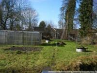 Haus kaufen Bad Salzuflen klein pq1kbhco4ykn