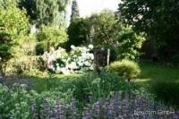 Haus kaufen Bad Soden klein v1u7ki7ztweh