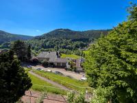 Haus kaufen Bad Wildbad klein ojy0btt1fief