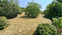 Haus kaufen Baden-Baden klein 3ldxdag5jpwk