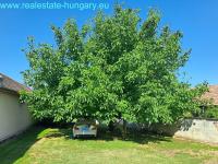 Haus kaufen Balatonszentgyörgy klein i25qbmqf5hv3