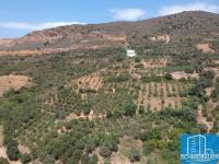 Haus kaufen Balingen klein 2l8i77ukg174