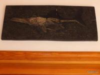 Haus kaufen Benissa klein v1mv1x44azdb