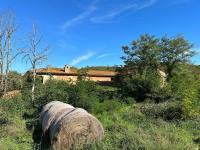 Haus kaufen Bergheim klein lupfjwjobphg