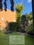Haus kaufen Berlin klein os3ax7l31qp4