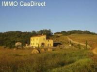 Haus kaufen Bibbona klein tecylxpzuxpi