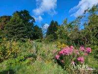 Haus kaufen Biesenthal klein z759s92ecrzv