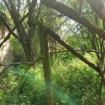 Haus kaufen Bilo klein aexta17mbyvf