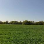 Haus kaufen Bilo klein m3p9gln0ythj