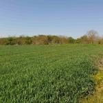 Haus kaufen Bilo klein y0itlp9b76q3