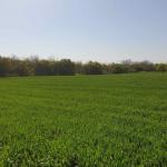 Haus kaufen Bilo klein yvcdoabd3m6e