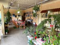 Haus kaufen Birkenhügel klein me2x9b9kqwld