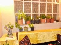 Haus kaufen Bliznatsi klein e2yqz4xo3k3w