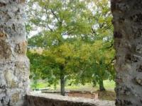 Haus kaufen Boccheggiano klein 1or4m0no36t4