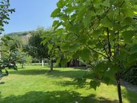 Haus kaufen Bonn klein dn03m9swz5sm