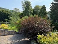 Haus kaufen Bonn klein xj6yzp9kmnb2