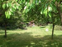 Haus kaufen Borstel (Landkreis Diepholz) klein g74snhqao1x6