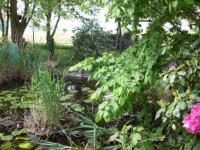 Haus kaufen Borstel (Landkreis Diepholz) klein i7w9z3oqxlv4