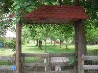 Haus kaufen Borstel (Landkreis Diepholz) klein mspv5eoclzrt