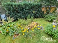 Haus kaufen Briesen (Mark) klein 3cr407naj8ov