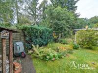 Haus kaufen Briesen (Mark) klein spukdjyc9nef