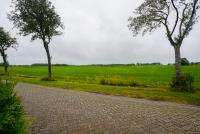 Haus kaufen Bunde klein d2slccr2pb4j