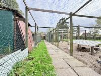 Haus kaufen Bunde klein s53uefa2p4ne