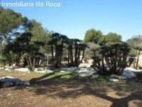 Haus kaufen Cala Ratjada klein sxv34l29y6x8