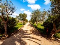 Haus kaufen Campos klein kzzfb0s5h9lo