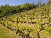 Haus kaufen Carpeneto klein 5v8f4skdjgpl