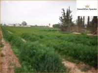 Haus kaufen Cartagena klein pz5wgfg88vvo