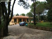 Haus kaufen Casale Marittimo klein 0fengaqrjv43